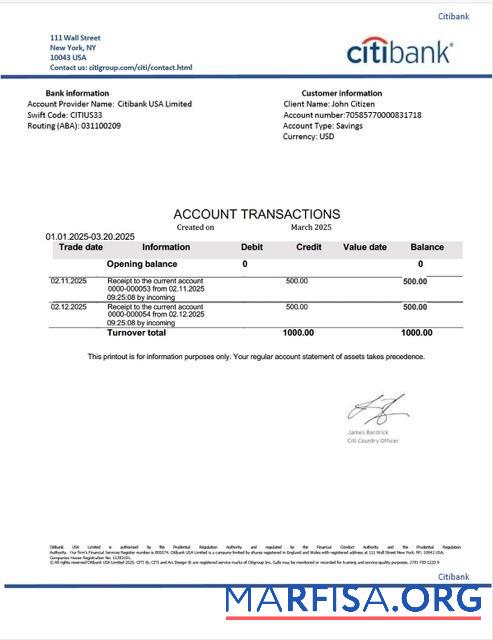 Realistic USA Citibank account statement word template